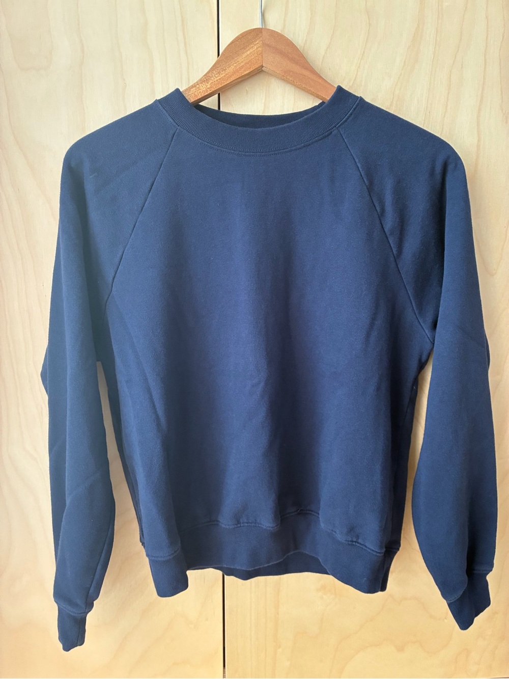GAP Vintagesoft Raglan Crewneck Sweatshirt